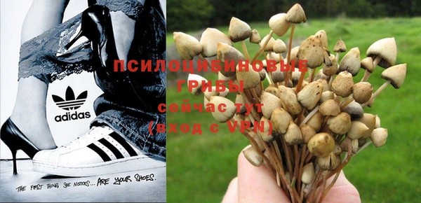 шишки Алексеевка