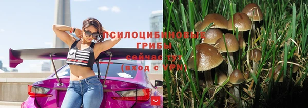 spice Абинск