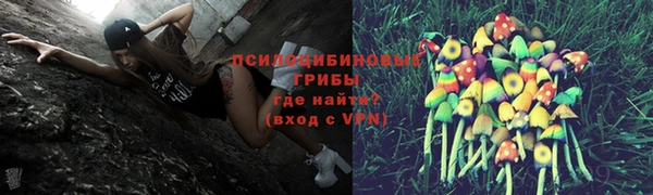 apvp Липки