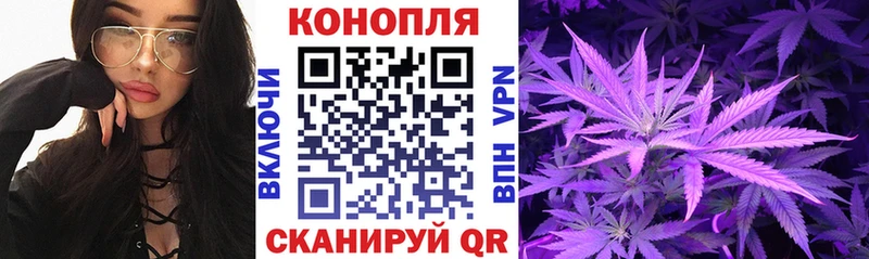 кракен ссылки Норильск Шишки марихуана White Widow